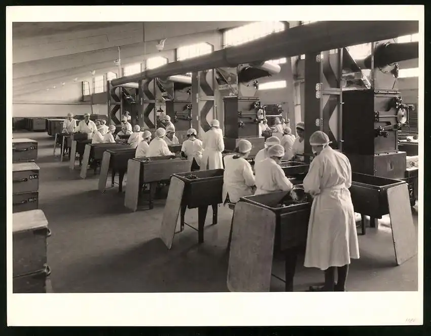 43 Fotografien Reemtsma Tabakfabrik Hamburg, Tabakverarbeitung, Werk, Zigarettenfabrik, Trockenstempel Franz Rompel, HH 43