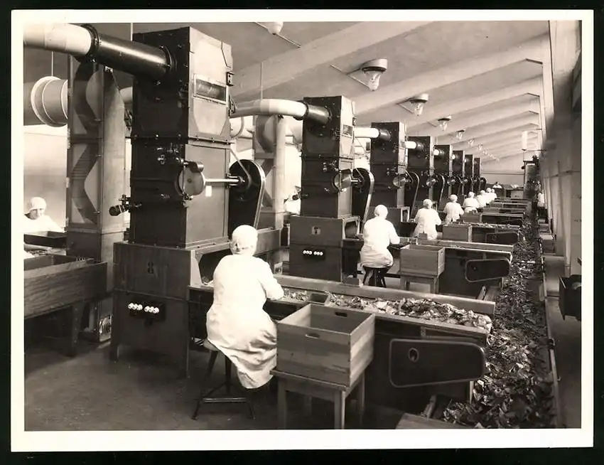 43 Fotografien Reemtsma Tabakfabrik Hamburg, Tabakverarbeitung, Werk, Zigarettenfabrik, Trockenstempel Franz Rompel, HH 8