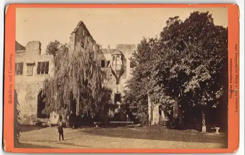 Fotografie Edm. v. König, Heidelberg, Ansicht Heidelberg, Blick auf den Ruprechtsbau mit Trauerweide