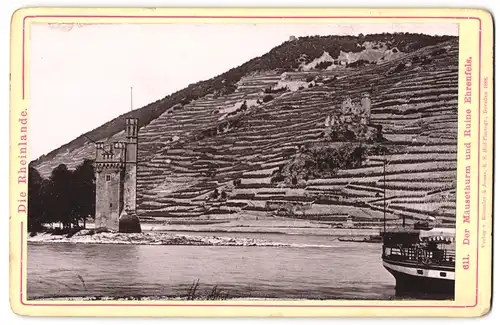 Fotografie Römmler und Jonas, Dresden, Ansicht Rüdesheim, Blick nach dem Mäuseturm und Ruine Ehrenfels, Weinberge