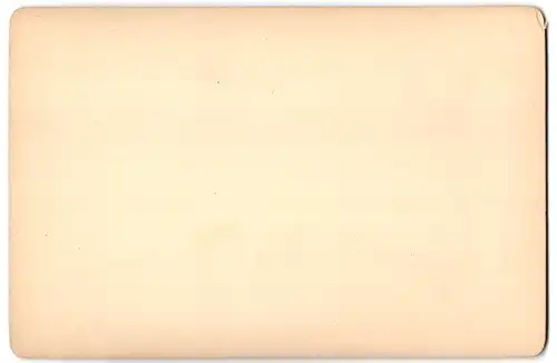 Fotografie Otto Roth, Leipzig, Ansicht Leipzig, Moritzdamm und Peterszwinger nach Aquarell von C. Sprosse