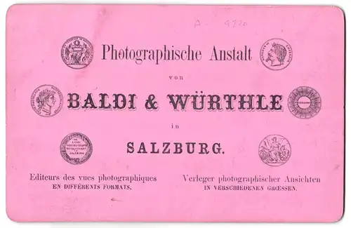 Fotografie Baldi & Würthle, Salzburg, Ansicht Ischl, Blick nach der Stadt vom Siriuskogl