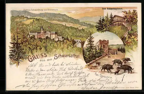 Lithographie Schwarzathal, Schloss Schwarzburg, Schweizerhaus, Am Eberstein