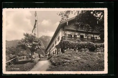 AK Törwang /Obb., Alpen-Gasthaus u. Pension Duftbräu, Bes. M. Wallner