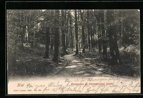 AK Kiel, Waldparthie im Düsternbrooker Gehölz