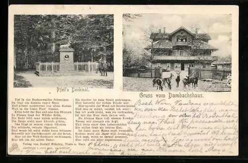 AK Thale /Harz, Dambachshaus und Pfeils Denkmal