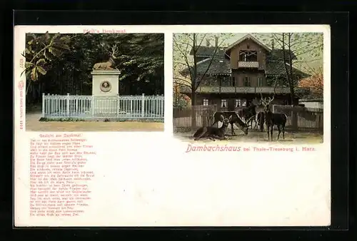 AK Thale-Treseburg i. Harz, Dambachshaus, Pfeil`s Denkmal Hirsch