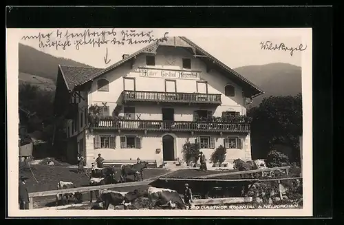 AK Neukirchen, Gasthof Rosental v. Huber, Kühe