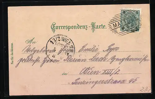 Lithographie Mattsee, Ortsansicht, Jäger auf einem Boot