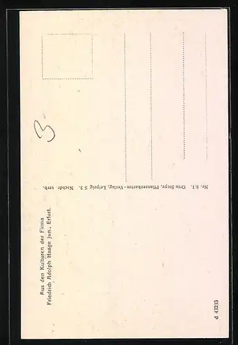 AK Erfurt, Firma Friedrich Adolph Haage jun., Echinocactus coptonogonus Lem., Kaktus