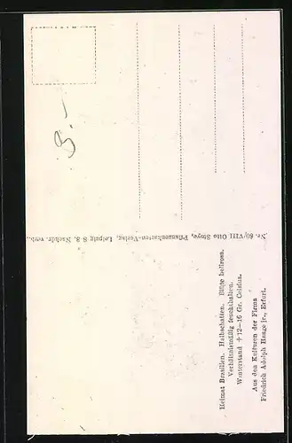 AK Erfurt, Firma Friedrich Adolph Haage jun., Echinocactus multiflorus var. hybopleura K. Sch., Kaktus