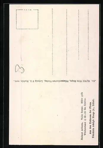 AK Erfurt, Firma Friedrich Adolph Haage jun., Echinocactus Beguinii Web., Kaktus