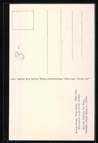 AK Erfurt, Firma Friedrich Adolph Haage jun., Echinocactus texensis Hopf., Kaktus