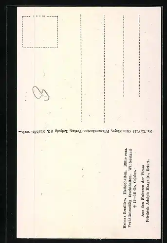 AK Echinocactus Sigelianus Schick. aus den Kulturen der Firma Friedrich Adolph Haage in Erfurt