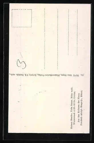 AK Erfurt, Firma Friedrich Adolph Haage jun., Echinocactus zacatecasensis sp. n., Kaktus