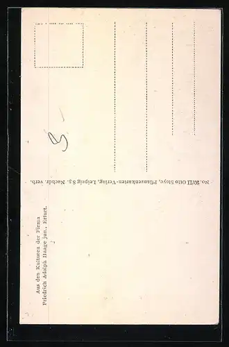 AK Kaktus Opuntia cylindrica cristata