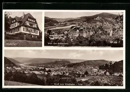 AK Wertheim, Blindenheim, Blick vom Blindenheim auf die Stadt, Totalansicht