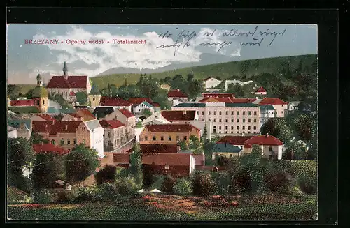 Künstler-AK Brzezany, Gesamtansicht des Ortes