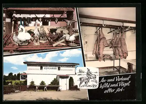 AK Kellinghusen, Fellgerbung und zoolog. Präparation Rathjen