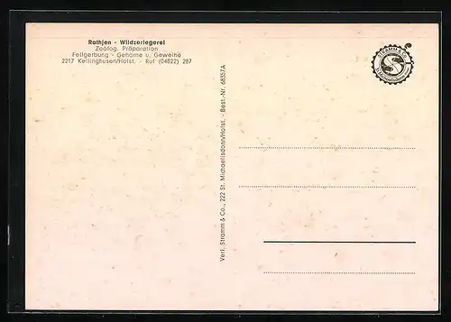 AK Kellinghusen, Fellgerbung und zoolog. Präparation Rathjen