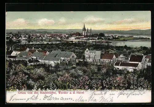 AK Werder a. d. Havel, Teilansicht bei Baumblüte