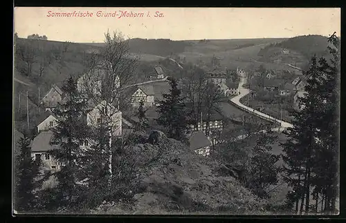 AK Grund-Mohorn i. Sa., Panorama