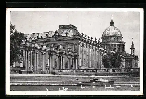 AK Potsdam, Stadtschloss mit Bittschriftenlinde