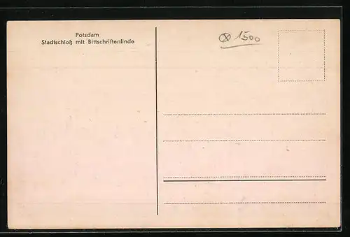 AK Potsdam, Stadtschloss mit Bittschriftenlinde