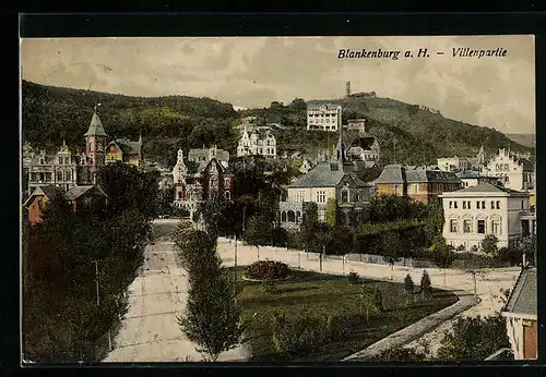 AK Blankenburg a. H., Villenpartie