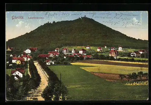 AK Görlitz, Ortsansicht mit Landeskrone
