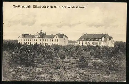 AK Wildeshausen, Grossherzogin Elisabeth-Heilstätte