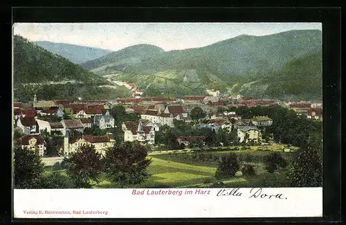 Relief-AK Bad Lauterberg im Harz, Blick auf den Ort