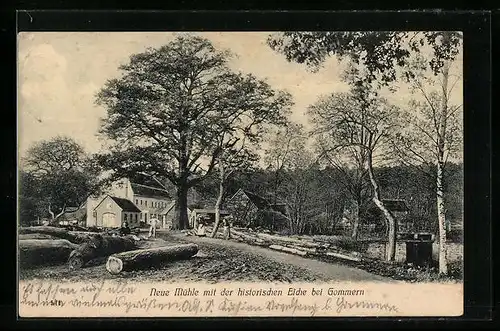 AK Gommern, Neue Mühle und historische Eiche