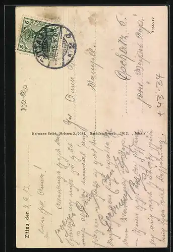 AK Zittau, Blick auf das Krematorium