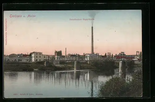 AK Trebsen /Mulde, Panschwitzer Papierfabrik