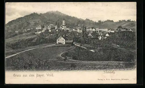 AK Schönberg /Bayer. Wald, Blick auf den Ort