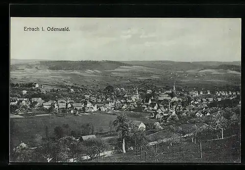 AK Erbach i. Odenwald, Totalansicht