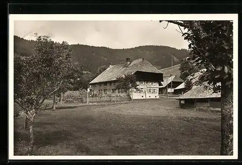 AK Bernau /Hochschwarzwald, Gasthaus u. Pension Bernauerhof