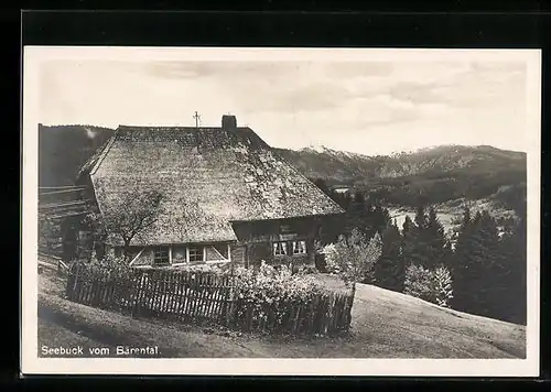 AK Feldberg /Schwarzwald, Gasthaus Seebuck vom Bärental