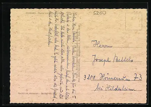 AK Siegburg, Partie am Schwanenteich, Schwäne