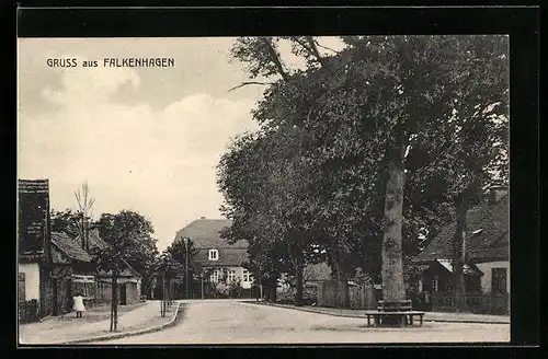 AK Falkenhagen, Strassenpartie mit altem Baum und Häusern