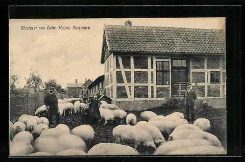 AK Dorfmark, Schweine-Mästerei von Gebr. Kruse
