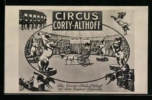 AK Zirkus Corty-Althoff, Pferde-Dressur
