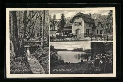 AK Zielenzig, Stadtwald-Restaurant von Max Jung