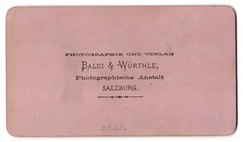 Fotografie Baldi & Würthle, Salzburg, Ansicht Wels, Blick vom Vorort über die Brück nach der Stadt