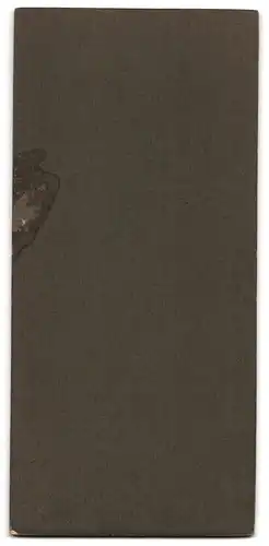 Fotografie Alfred Kugler, Basel, Fischmarkt 8, Elegant gekleidete Dame mit Zeitung