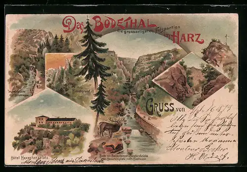 Lithographie Bodethal /Harz, Hotel zur Rosstrappe mit Winzenburg, Hirschgrund, Bülowshöhe