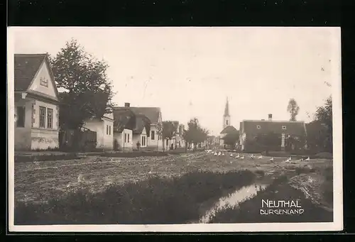 AK Neuthal i. Burgenland, Strassenpartie im Ortskern, Kirche im Hintergrund