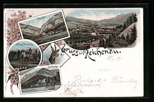 Lithographie Reichenau, Curhaus, Thalhof, Schloss Wartholz
