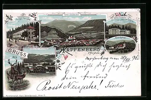 Lithographie Kapfenberg i. Mürzthal, Curhotel Fürstenhof, Curhaus Steinerhof, Ortsansicht